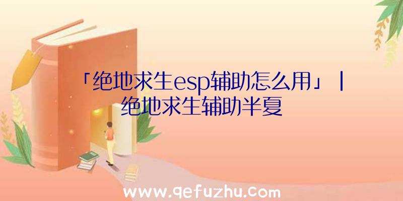 「绝地求生esp辅助怎么用」|绝地求生辅助半夏